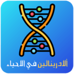 3.0 Apk Mod Premium