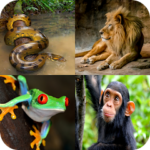 Animal Quiz Guess the Animal Apk Mod Unlimited Money