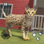 Cat Simulator Offline Cat Game Apk Mod Unlimited Money