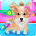 Cute Corgis Caring and Dressup VARY Apk Mod Unlimited Money