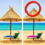 Difference Find Tour 3.1.78 Apk Mod Unlimited Money