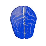 Logical test – IQ VARY Apk Mod Unlimited Money