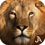 Safari Online Evolution 24.7.1 Apk Mod Unlimited Money
