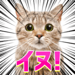 1.0.5 Apk Mod Unlimited Money 1.0.5 Apk Mod Unlimited Money