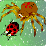 Home of Angry Spider 3.1 Apk Mod Unlimited Money