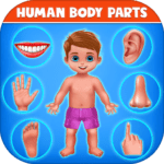 Human Body Parts – Kids Games 3.0 Apk Mod Unlimited Money