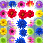 Flower Blast Garden Blossom 1.0 Apk Mod Unlimited Money