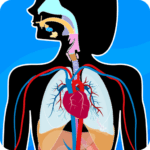 Human Anatomy – Body parts 2024.4.0 Apk Mod Unlimited Money