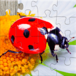 Insect Jigsaw Puzzle Game Kids 35.0 Apk Mod Premium Insect Jigsaw Puzzle Game Kids 35.0 Apk Mod Premium