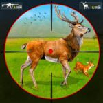 Jungle Deer Hunting Zoo Hunter 1.0.44 Apk Mod Unlimited Money Jungle Deer Hunting Zoo Hunter 1.0.44 Apk Mod Unlimited Money