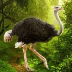 The Ostrich 1.1.5 Apk Mod Unlimited Money