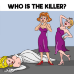 Brain Who Tricky Riddle Tests 2.2.9 Apk Mod Unlimited Money