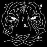 Dot to Dot Puzzles Coloring 4.1.7 Apk Mod Unlimited Money