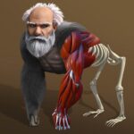 Idle Evolution – Cell to Human 2.3 Apk Mod Unlimited Money