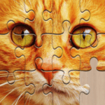 Jigsaw puzzles for everyone 2024.09.16 Apk Mod Unlimited Money