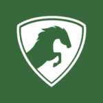 Kayo VPN 1.0.1 Apk Mod Premium