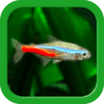 Tropical Aquarium – Mini Aqua 4.0 Apk Mod Unlimited Money