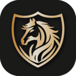 ford vpn 2.9.4 Apk Mod Premium