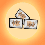 frede.mp3 41.3 Apk Mod Unlimited Money