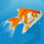 AquaLife 3D 1.7.4 Apk Mod Unlimited Money