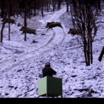 Batida jabali 2.5 Apk Mod Unlimited Money