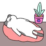 Purrfect Cats 1.3.4 Apk Mod Unlimited Money