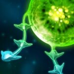 Tentacle Wars 2.1.23 Apk Mod Unlimited Money