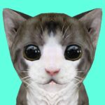 Cat Simulator Online 29 Apk Mod Unlimited Money