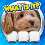 Guess it Zoom Pic Trivia Game 1.39.1 Apk Mod Unlimited Money