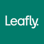 Leafly Find Cannabis and CBD 8.8.0 Apk Mod Premium