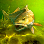 My Fishing World 1.15.14 Apk Mod Unlimited Money My Fishing World 1.15.14 Apk Mod Unlimited Money