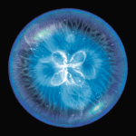 Osmos 2.6.6 Apk Mod Unlimited Money