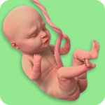 Mom Pregnancy Games Mom Care 0.9 Apk Mod Unlimited Money