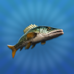 True Fishing 2 1.5.2 Apk Mod Unlimited Money