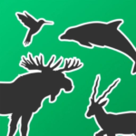 4D 1.7 Apk Mod Unlimited Money 4D 1.7 Apk Mod Unlimited Money