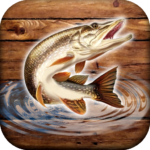 Fish rain sport fishing 0.4.6.0.29 Apk Mod Unlimited Money