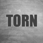 TORN 2.2.27 Apk Mod Unlimited Money