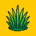 BePresent Touch Grass Now 1.7 Apk Mod Premium BePresent Touch Grass Now 1.7 Apk Mod Premium