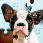 Jigsaw Puzzles HD Puzzle Game 4.4.12 Apk Mod Unlimited Money Jigsaw Puzzles HD Puzzle Game 4.4.12 Apk Mod Unlimited Money