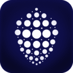 Metal VPN 1.1 Apk Mod Premium