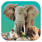 Ark Nova 1.0.2 Apk Mod Unlimited Money