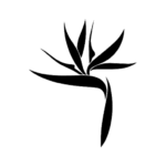 Beauty Society 1.0.10 Apk Mod Premium