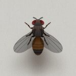 CAT ALONE – Cat Toy 6.0.4 Apk Mod Unlimited Money CAT ALONE – Cat Toy 6.0.4 Apk Mod Unlimited Money