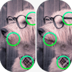 Spot the Difference Delight 2.5 Apk Mod Unlimited Money