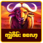 1.0.0 Apk Mod Premium