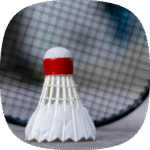 Badminton 2D 2.0.2.02 Apk Mod Unlimited Money