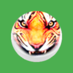 BaghChal – Tigers and Goats 25.07.27 Apk Mod Unlimited Money