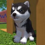 Cute Pocket Puppy 3D – Part 2 1.10.2 Apk Mod Unlimited Money