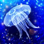 Jellyfish Friends 1.2.2 Apk Mod Unlimited Money