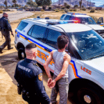 Open World Police Car Game 1.0 Apk Mod Unlimited Money